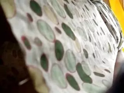 consolidated est toujours prêt pour le sexe video poeno gratuit anal